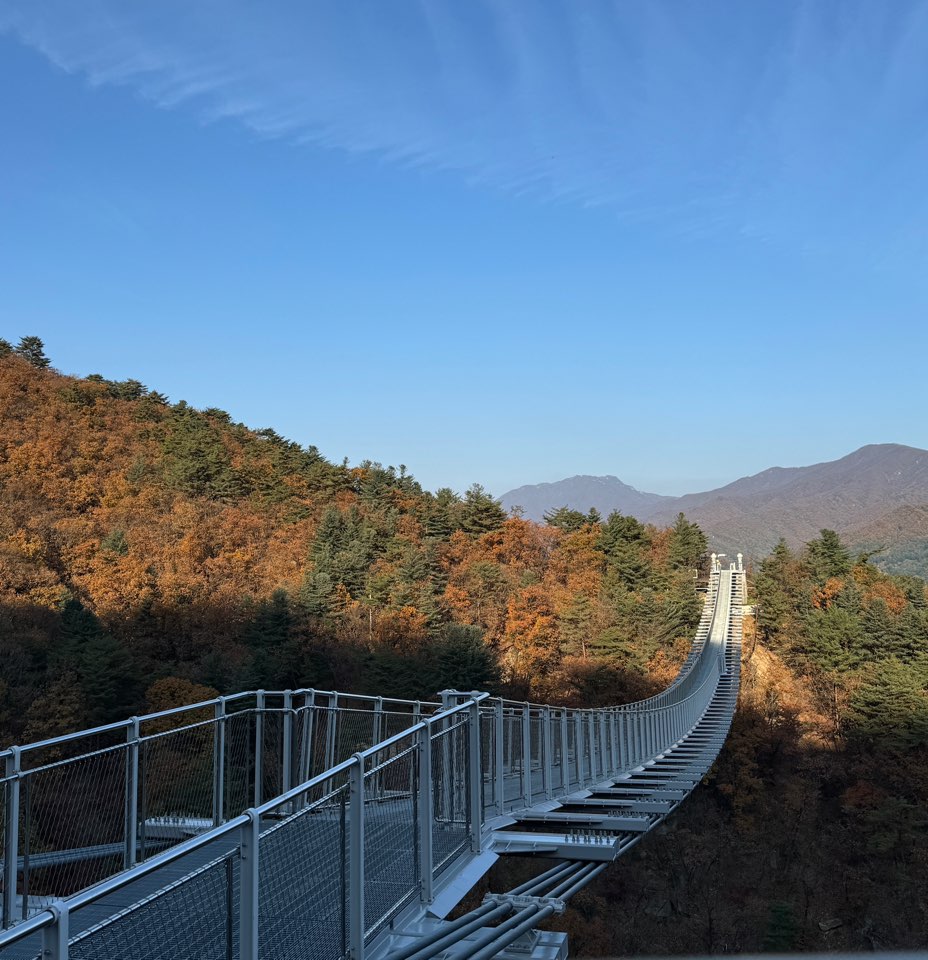 서울근교 단풍명소 운악산 출렁다리