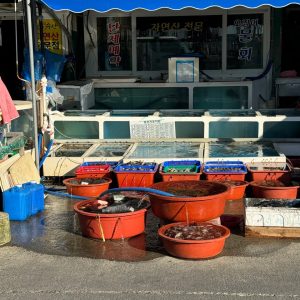 신진도수산물시장위치