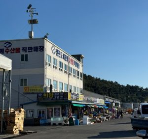 신진도수산시장 태안수산시장